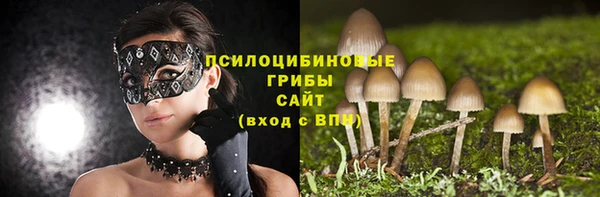 твердый Липки
