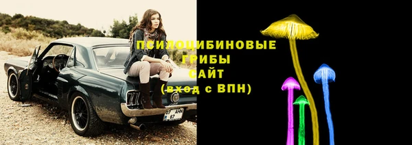твердый Липки