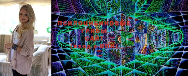 2c-b Лиски