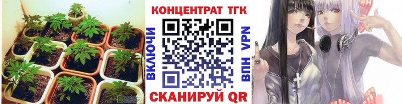 Дистиллят ТГК концентрат  Ликино-Дулёво 