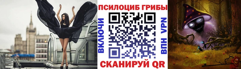 KRAKEN как войти  купить наркотик  Ликино-Дулёво  Галлюциногенные грибы GOLDEN TEACHER 